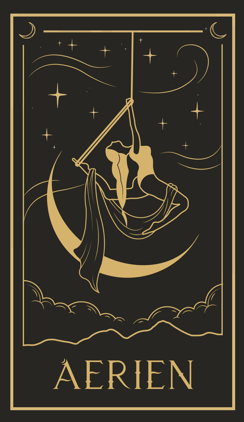 Aérien : tissu, cerceau, pole dance